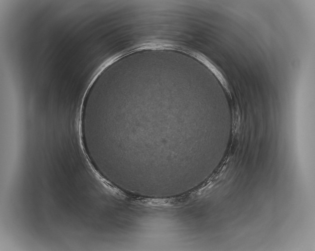 X0000113550861200909181158