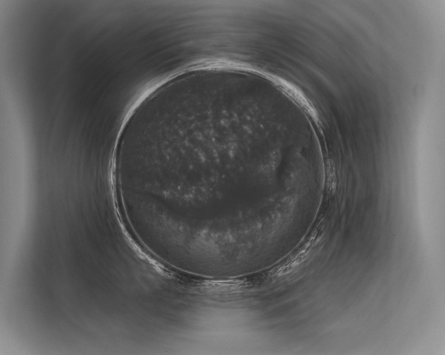 X0000113550863200909181158