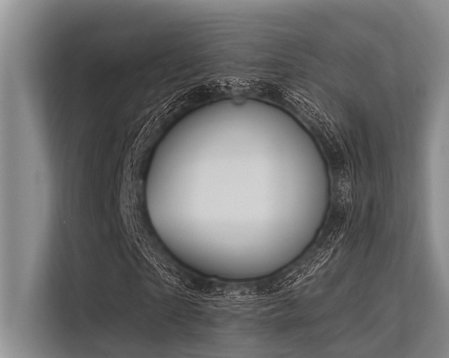 X0000113550865200909181157