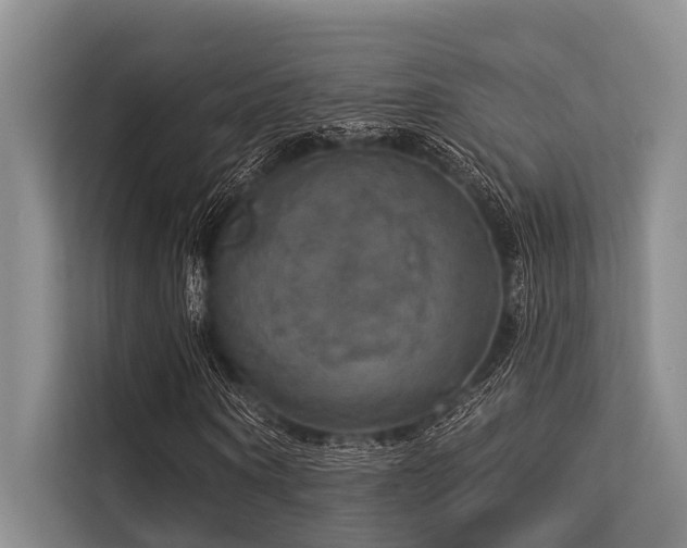 X0000113550866200909181157