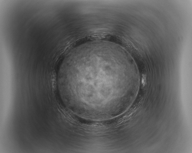 X0000113550867200909181157