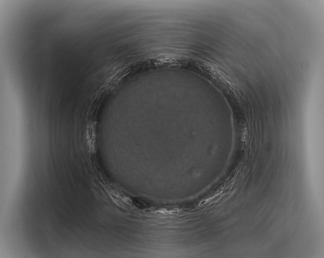 X0000113550868200909181157