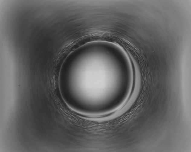 X0000113550869200909181157