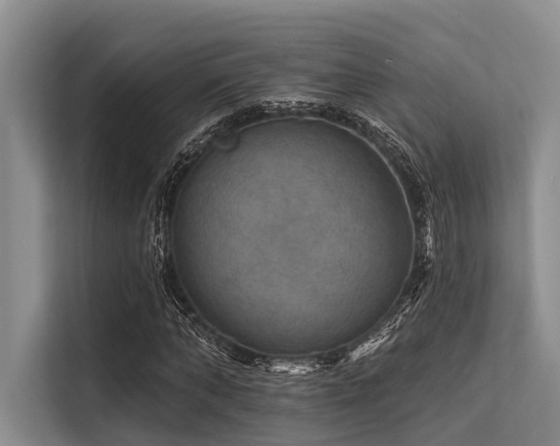 X0000113550870200909181157