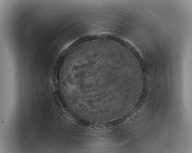 X0000113550871200909181157