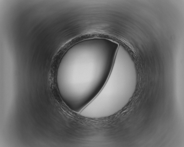 X0000113550872200909181157