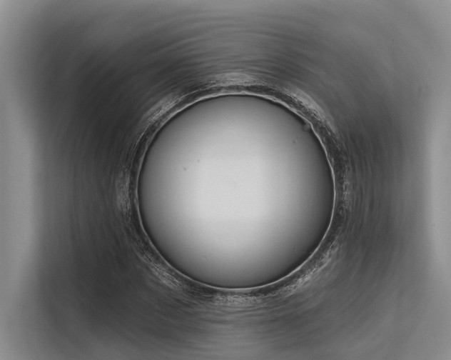 X0000113550873200909181157