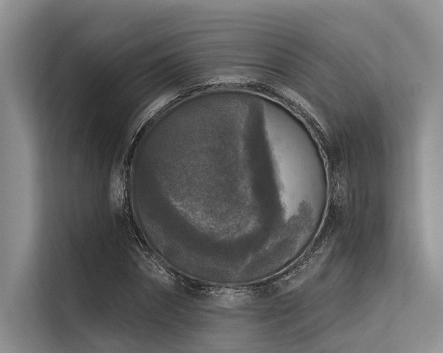 X0000113550874200909181157