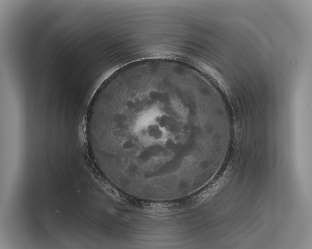 X0000113550875200909181157