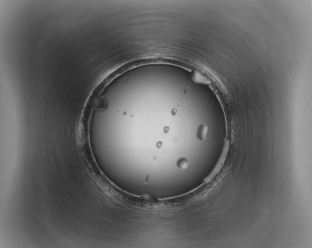 X0000113550876200909181157