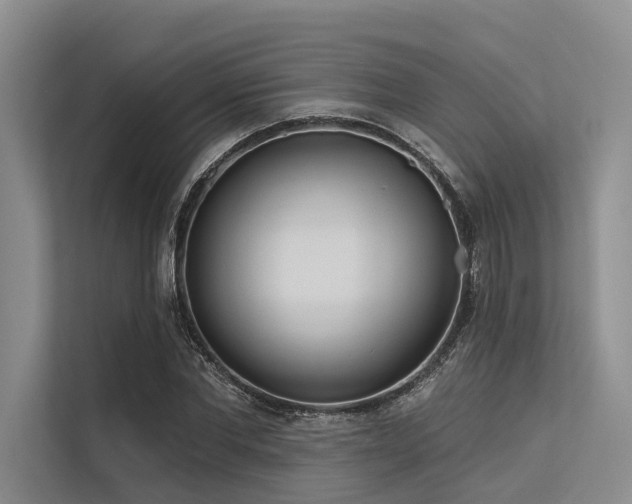 X0000113550877200909181157