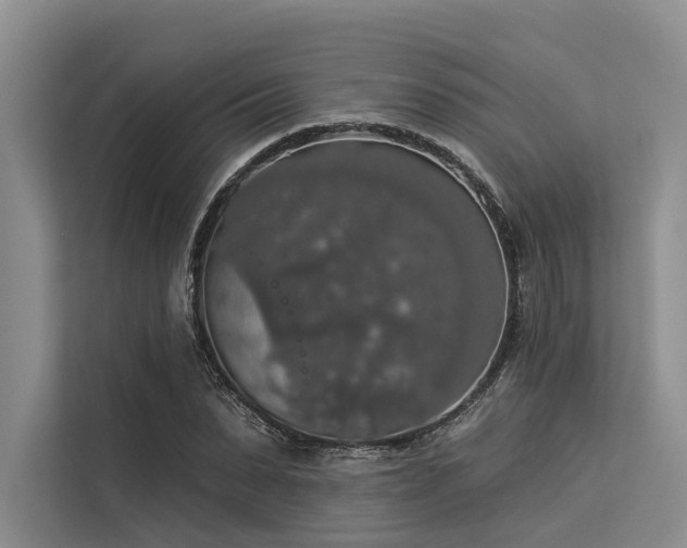 X0000113550879200909181157