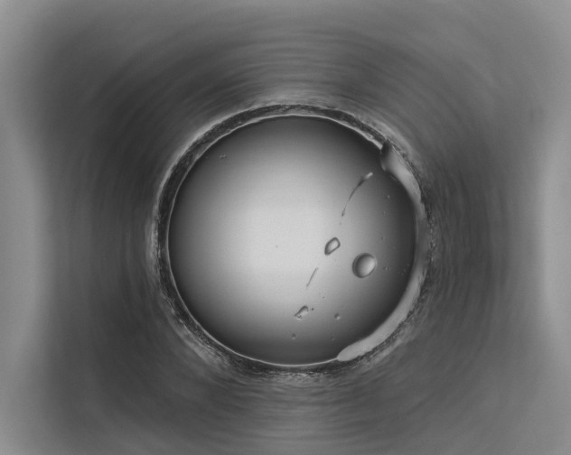 X0000113550880200909181157