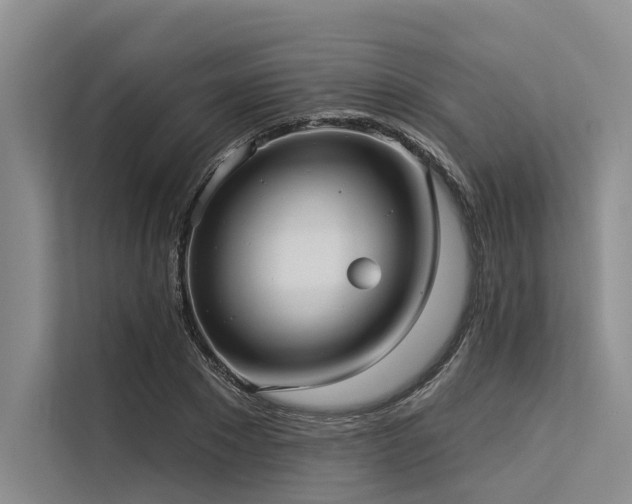 X0000113550881200909181157