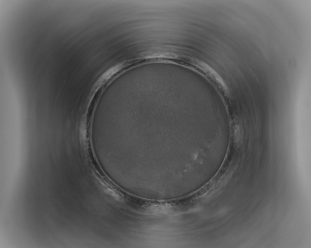X0000113550882200909181157