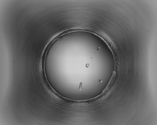 X0000113550884200909181157