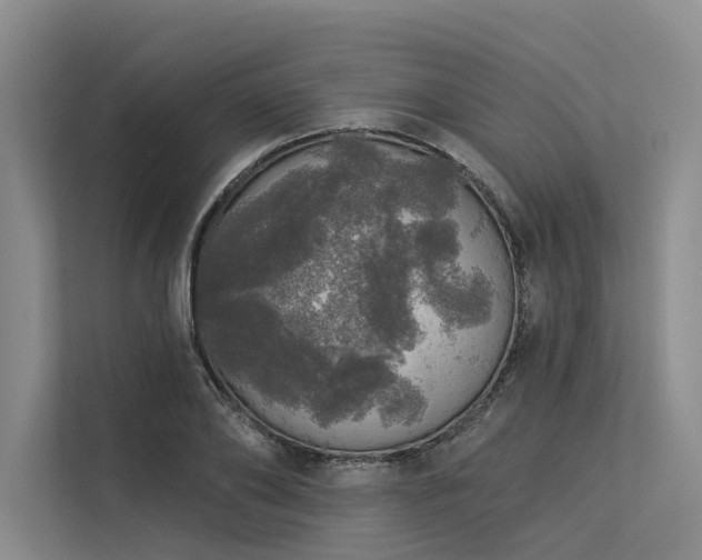 X0000113550886200909181157