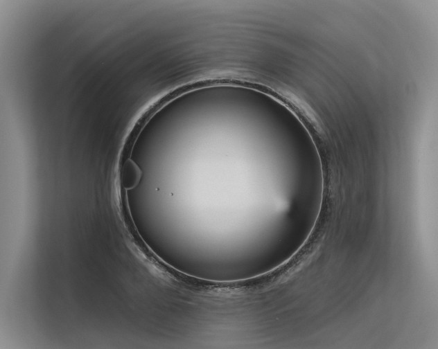 X0000113550888200909181157