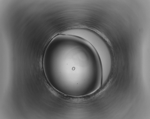 X0000113550889200909181157