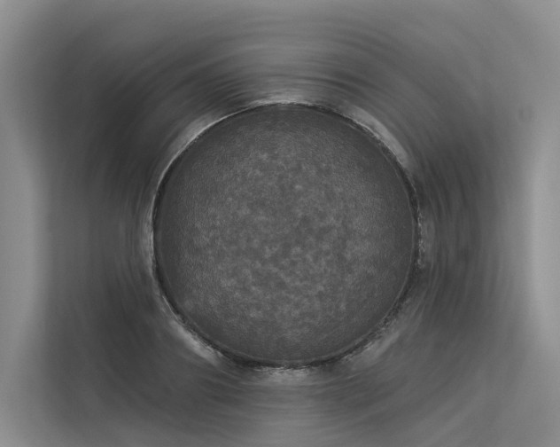 X0000113550890200909181157