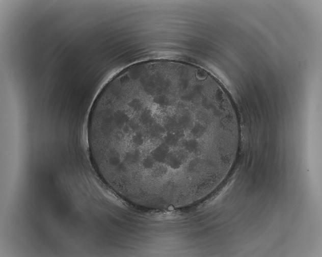 X0000113550891200909181157