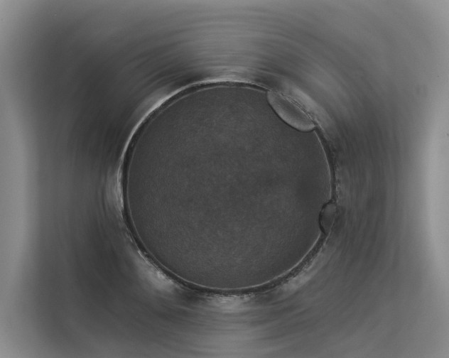 X0000113550892200909181157
