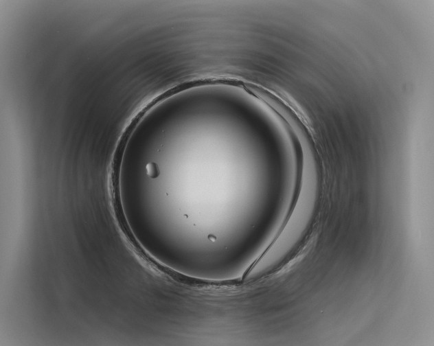 X0000113550893200909181157