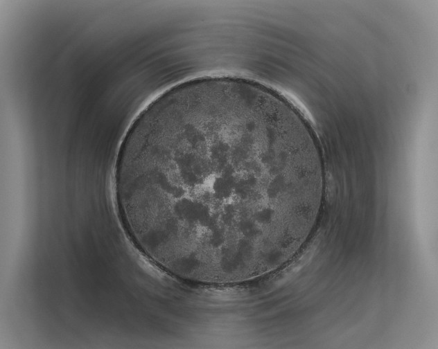 X0000113550895200909181157