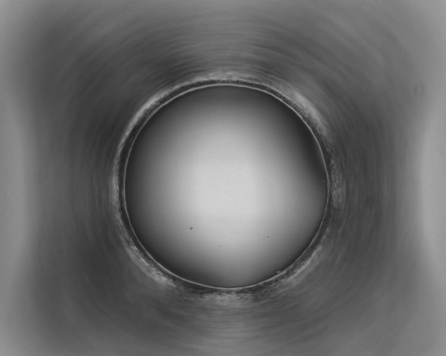 X0000113550896200909181157