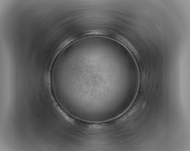 X0000113550898200909181157