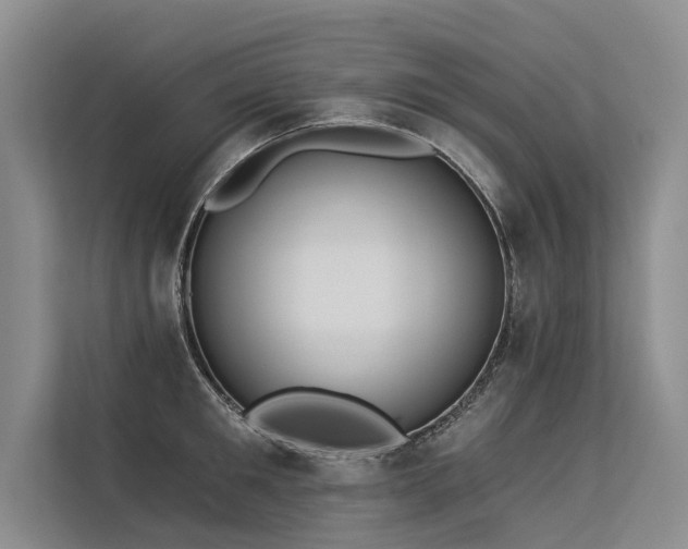 X0000113550901200909181157