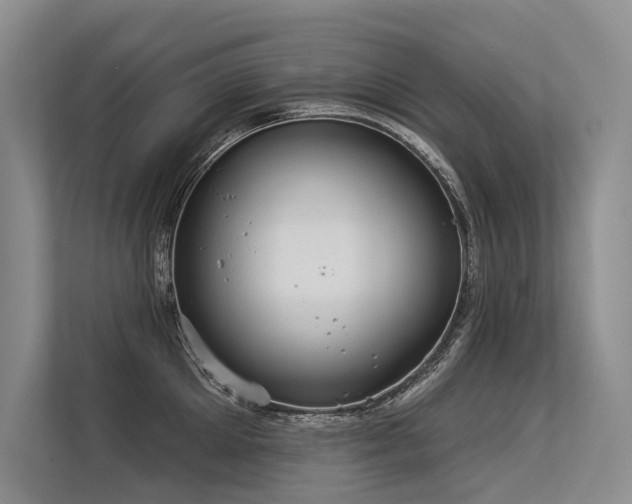 X0000113550905200909181157