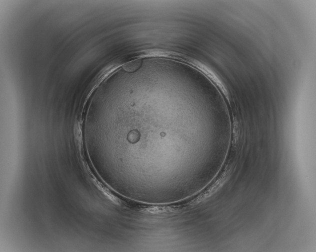 X0000113550906200909181157
