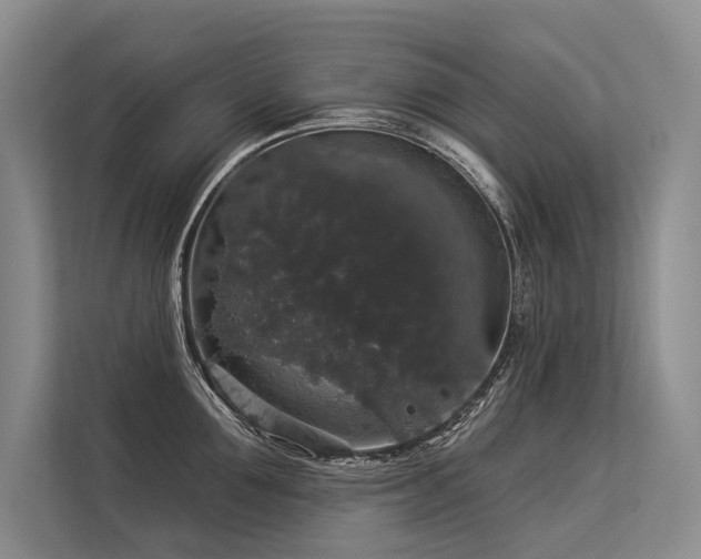 X0000113550907200909181156