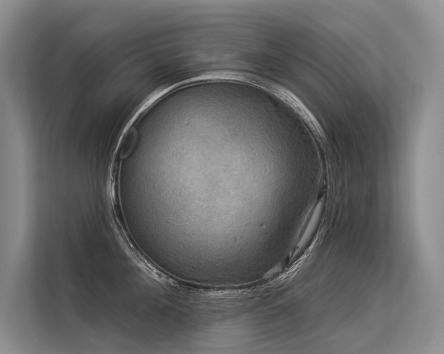 X0000113550908200909181156