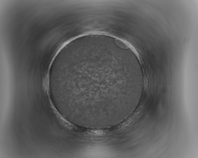 X0000113550911200909181156