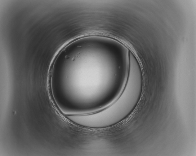 X0000113550912200909181156