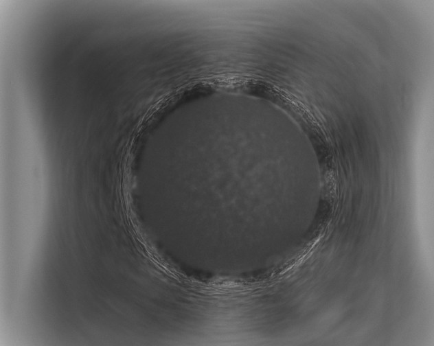 X0000113550913200909181156