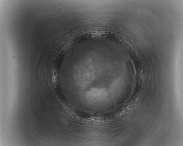 X0000113550914200909181156