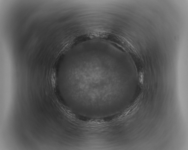 X0000113550915200909181156