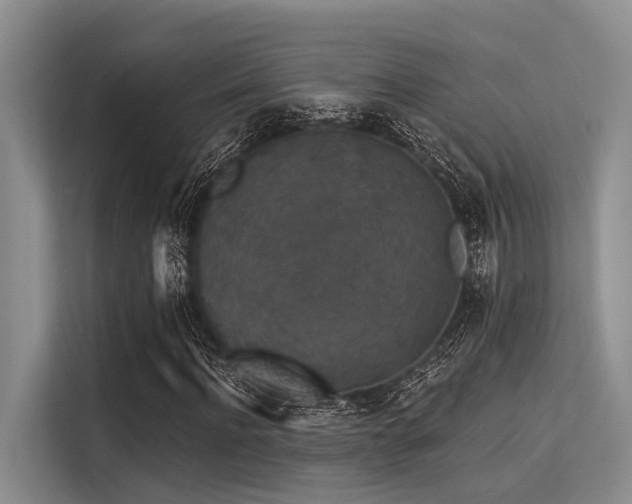 X0000113550916200909181156