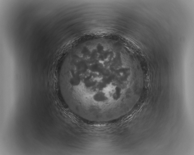 X0000113550917200909181156