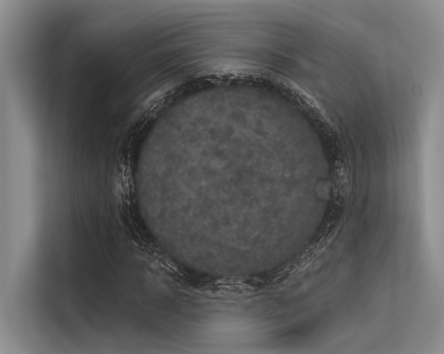 X0000113550918200909181156