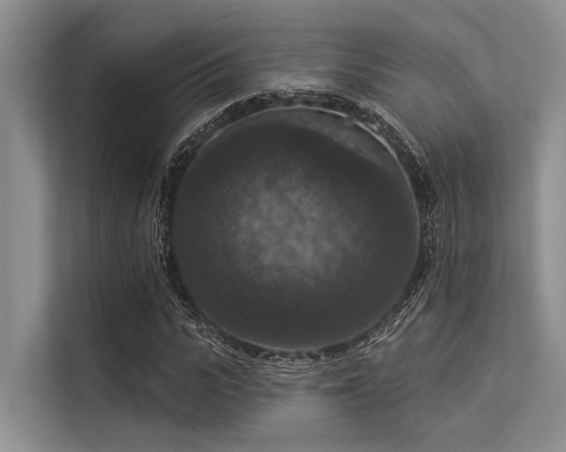 X0000113550919200909181156