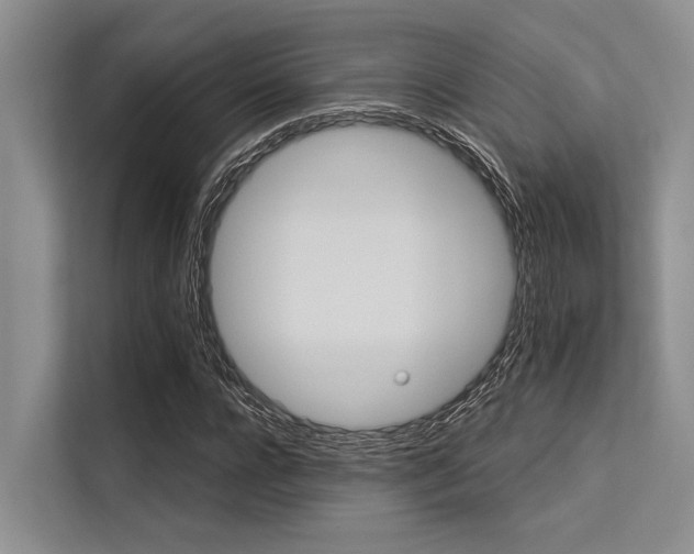 X0000113550920200909181156