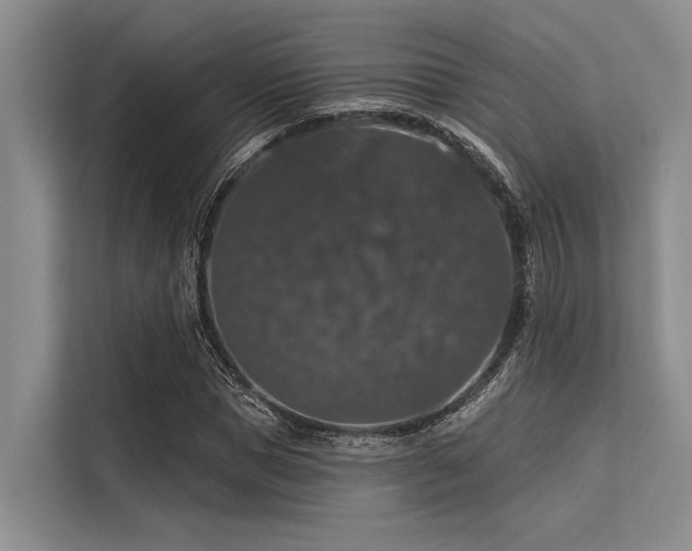 X0000113550921200909181156