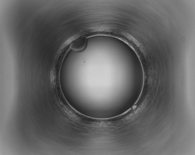 X0000113550922200909181156