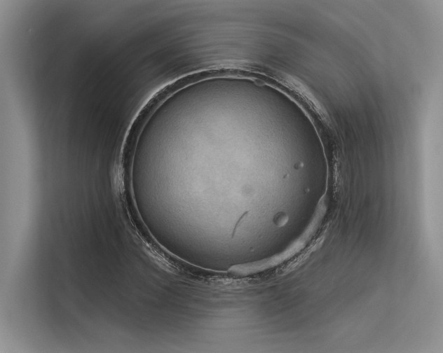 X0000113550924200909181156