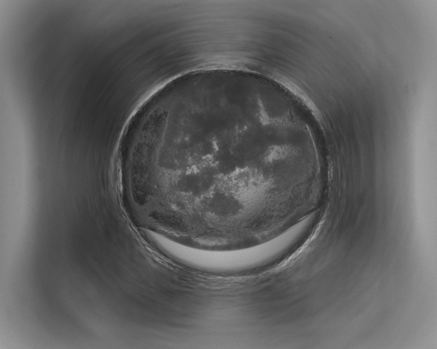 X0000113550925200909181156