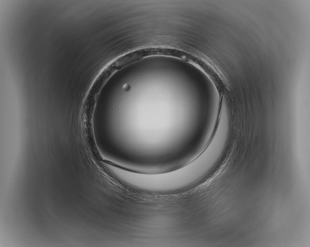 X0000113550926200909181156